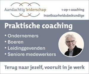 ADV_AandachtigLeiderschap - 300x250px - 300dpi